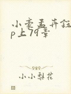 小豪孟卉钰慧三p上79章封面