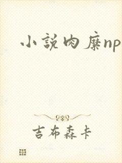 小说肉糜np