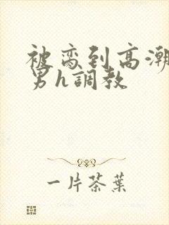 被脔到高潮的直男h调教封面