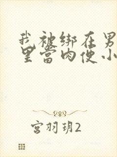 我被绑在男公厕里当肉便小说