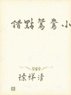 错点鸳鸯小说