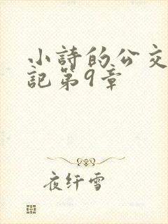 小诗的公交车日记第9章封面