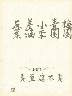 反差小青梅不经叶涵季园园封面