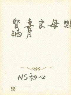 贤妻良母 鹦鹉晒月