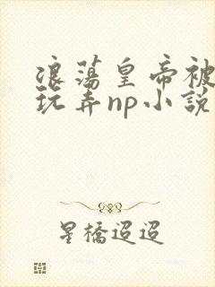 浪荡皇帝被多人玩弄np小说