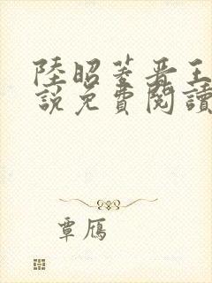 陆昭菱晋王的小说免费阅读