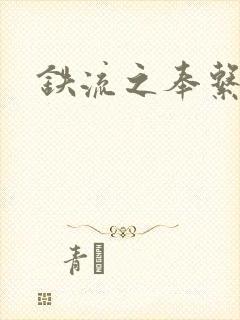 铁流之奉系军阀封面