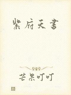 紫府天书封面