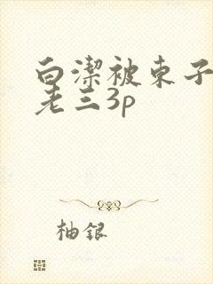 白洁被东子老二老三3p