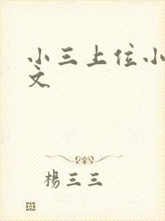 小三上位小说全文