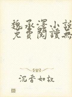 魏承泽小说全文免费阅读无弹窗笔趣