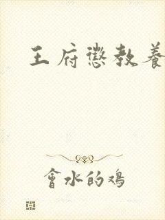 王府惩教养日常