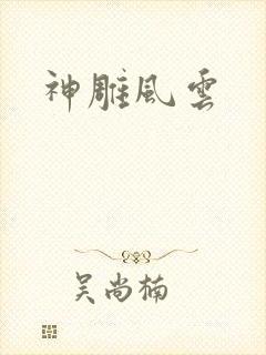 神雕风云