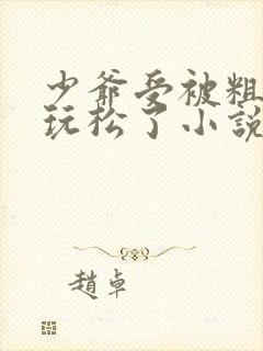 少爷受被粗汉H玩松了小说封面