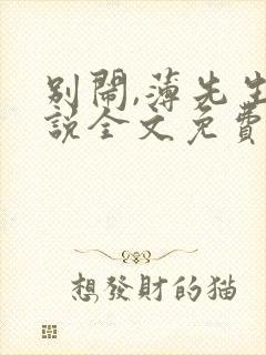 别闹,薄先生小说全文免费阅读