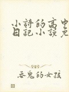 小诗的高中成长日记小说免费阅读