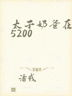 太子奶爸在花都5200