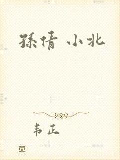 孙倩 小北封面