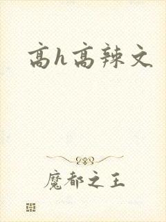 高h高辣文