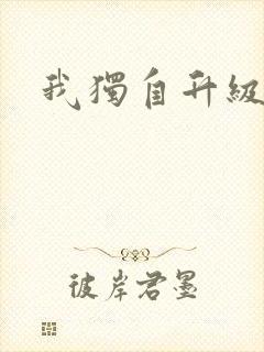 我独自升级漫画封面