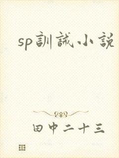 sp训诫小说