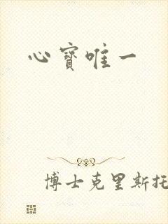 心宝唯一
