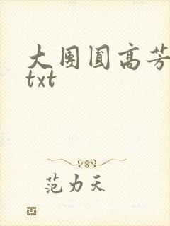 大团圆高芳小说txt