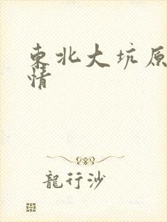 东北大坑原始激情