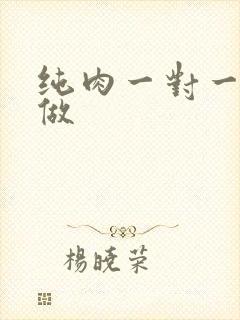 纯肉一对一到处做