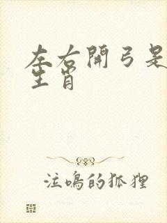 左右开弓是什么生肖