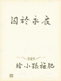 囚于永夜封面
