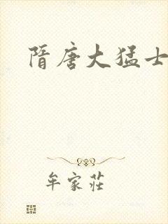 隋唐大猛士封面