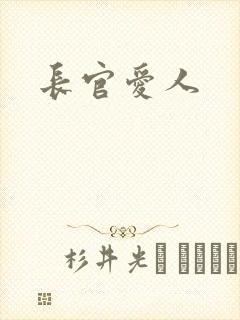 长官爱人封面