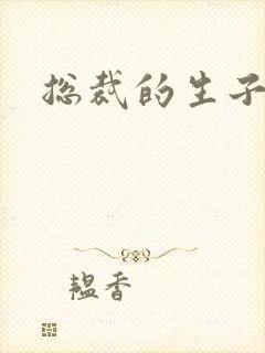 总裁的生子情人