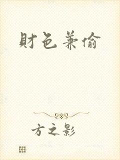 财色兼偷封面