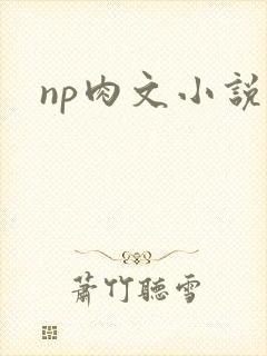 np肉文小说