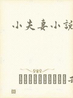 小夫妻小说