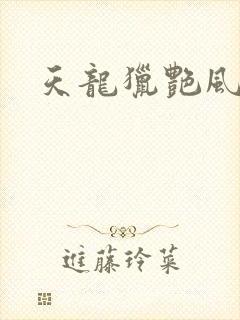 天龙猎艳风流