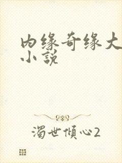 内缘奇缘大团圆小说
