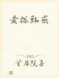 黄总韩燕封面