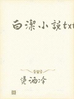 白洁小说txt
