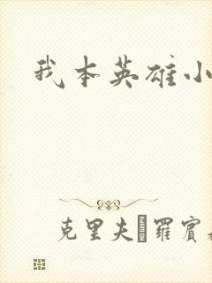 我本英雄小说封面