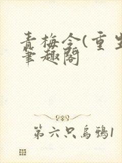 青梅令(重生)笔趣阁封面