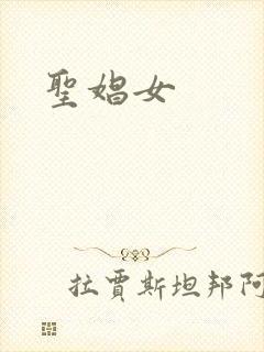 圣娼女封面