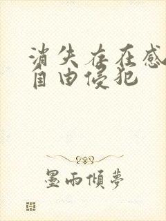 消失存在感消失自由侵犯