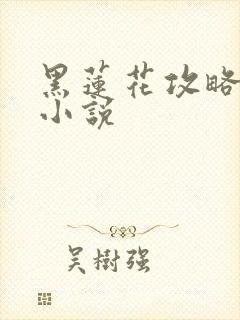 黑莲花攻略手册小说