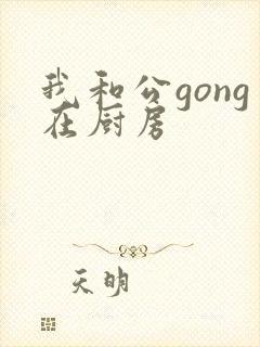我和公gong在厨房