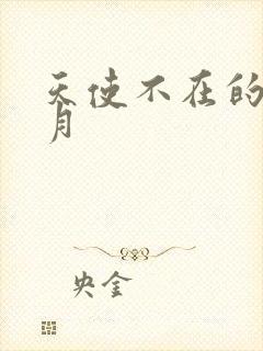 天使不在的12月