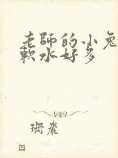 老师的小兔子好软水好多