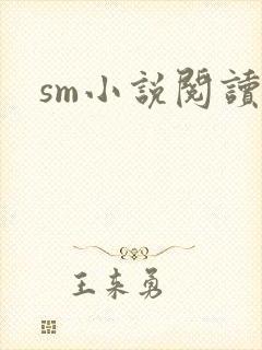 sm小说阅读封面